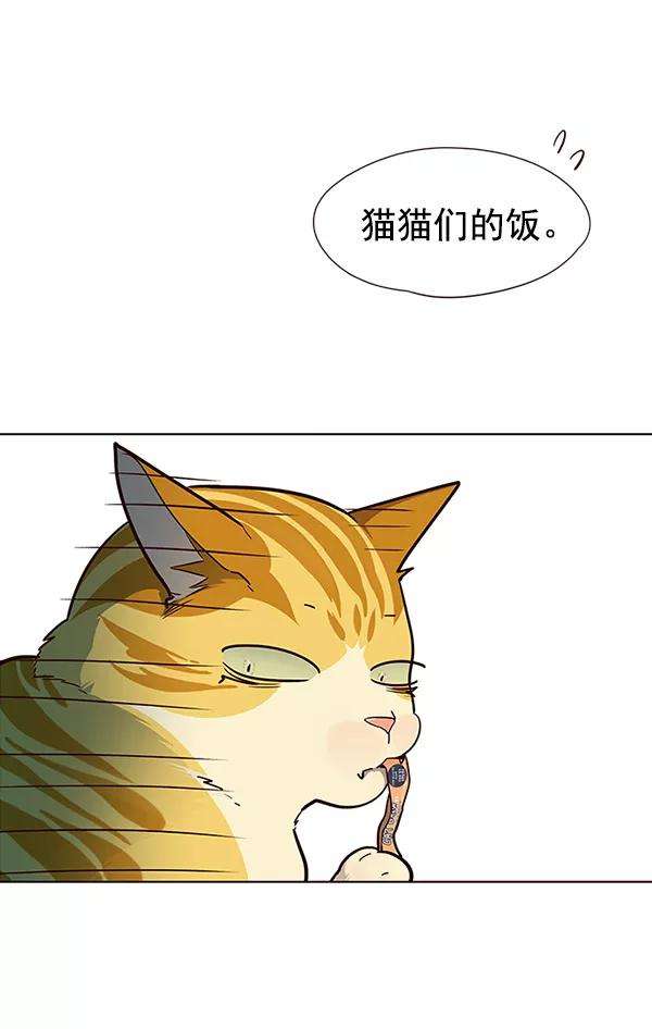觉醒吧，铲屎官！30话
