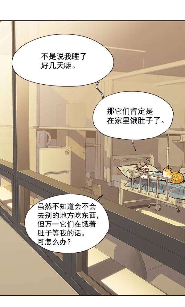觉醒吧，铲屎官！30话