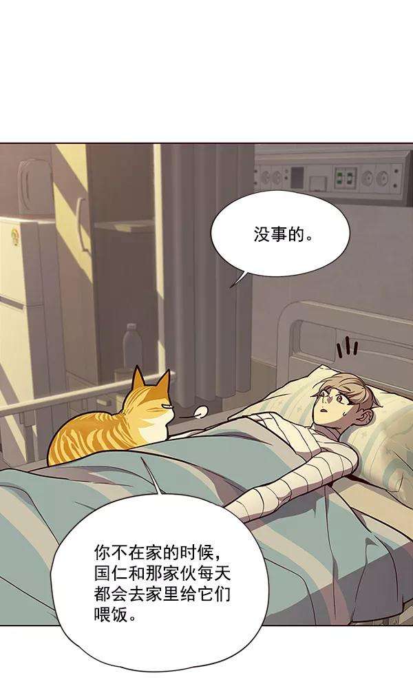 觉醒吧，铲屎官！30话