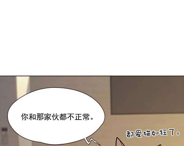 觉醒吧，铲屎官！30话
