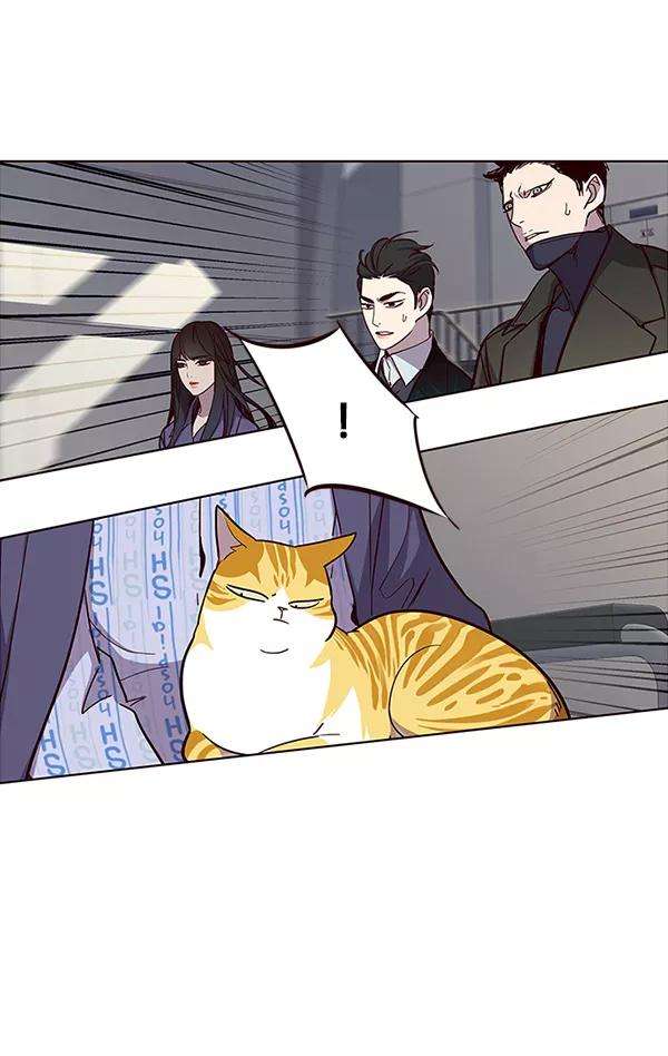 觉醒吧，铲屎官！32话