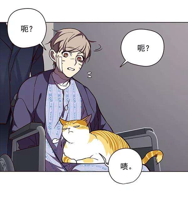 觉醒吧，铲屎官！32话