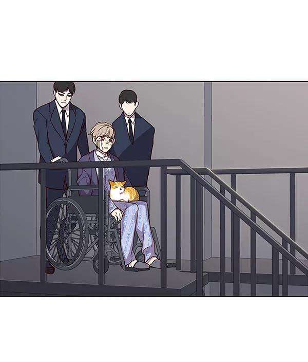 觉醒吧，铲屎官！32话