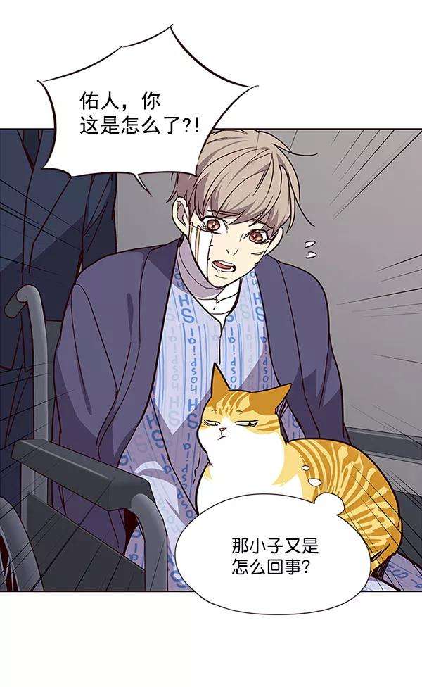 觉醒吧，铲屎官！32话