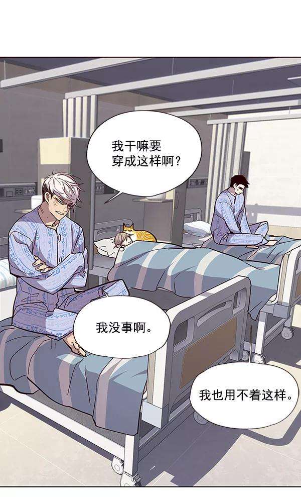 觉醒吧，铲屎官！33话