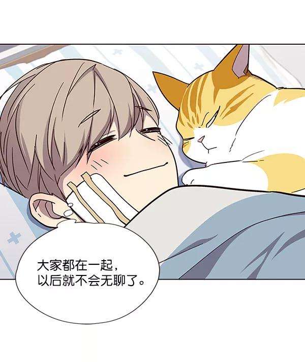 觉醒吧，铲屎官！33话