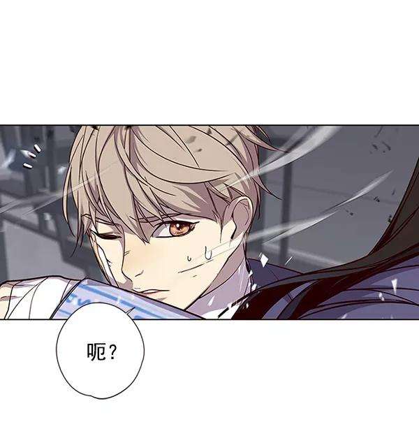 觉醒吧，铲屎官！33话