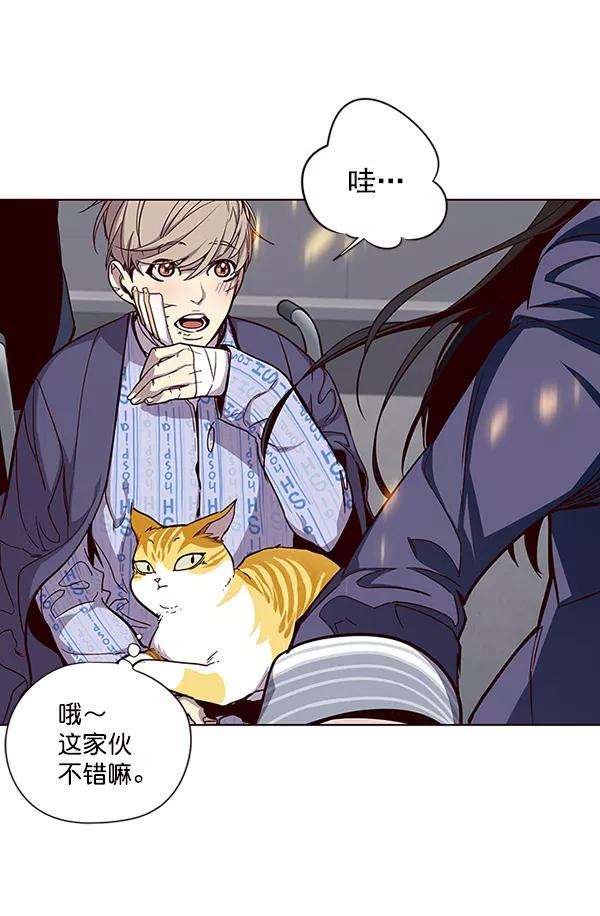 觉醒吧，铲屎官！33话