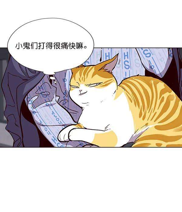 觉醒吧，铲屎官！33话