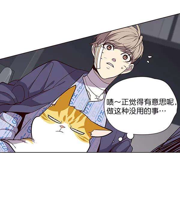 觉醒吧，铲屎官！33话