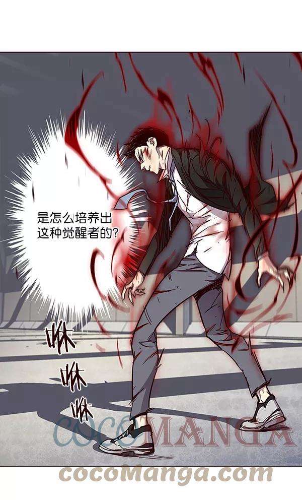 觉醒吧，铲屎官！33话
