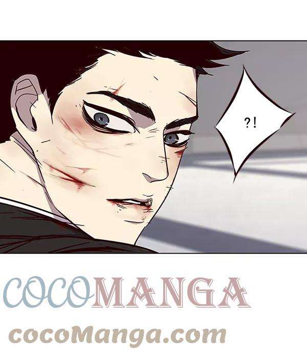 觉醒吧，铲屎官！33话