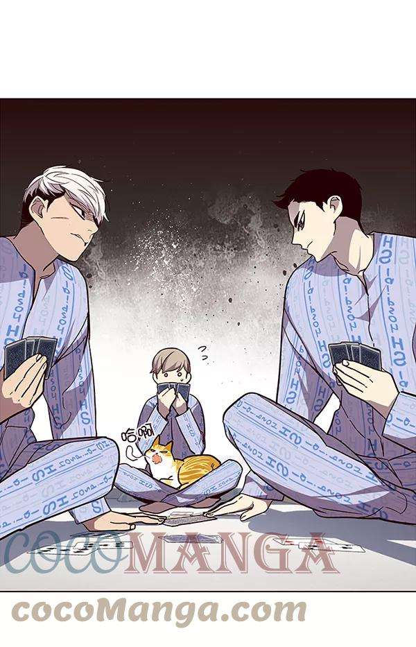 觉醒吧，铲屎官！34话