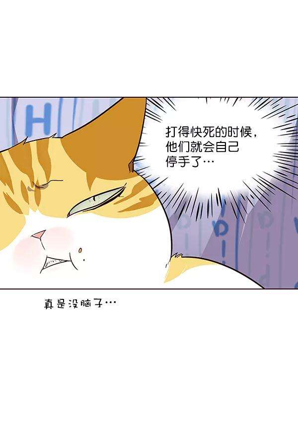 觉醒吧，铲屎官！34话