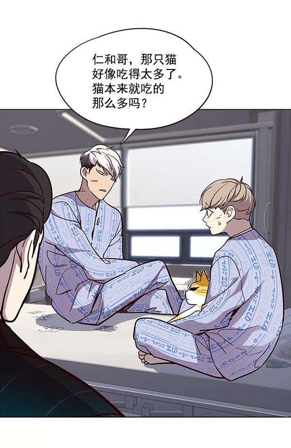 觉醒吧，铲屎官！34话