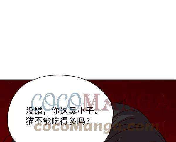 觉醒吧，铲屎官！34话