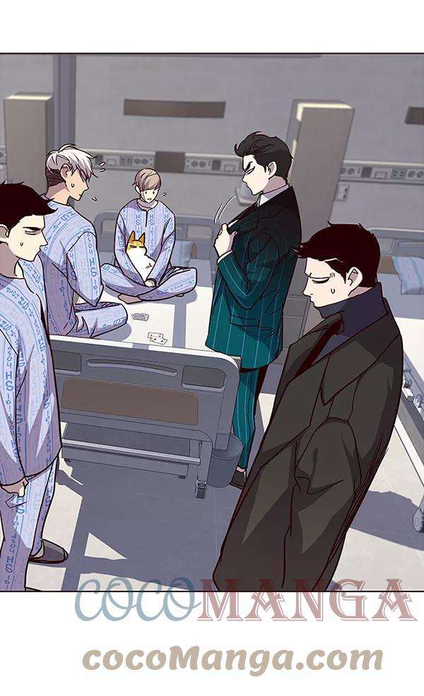 觉醒吧，铲屎官！34话