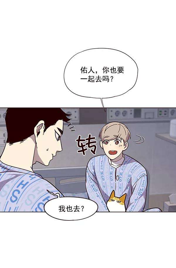 觉醒吧，铲屎官！34话