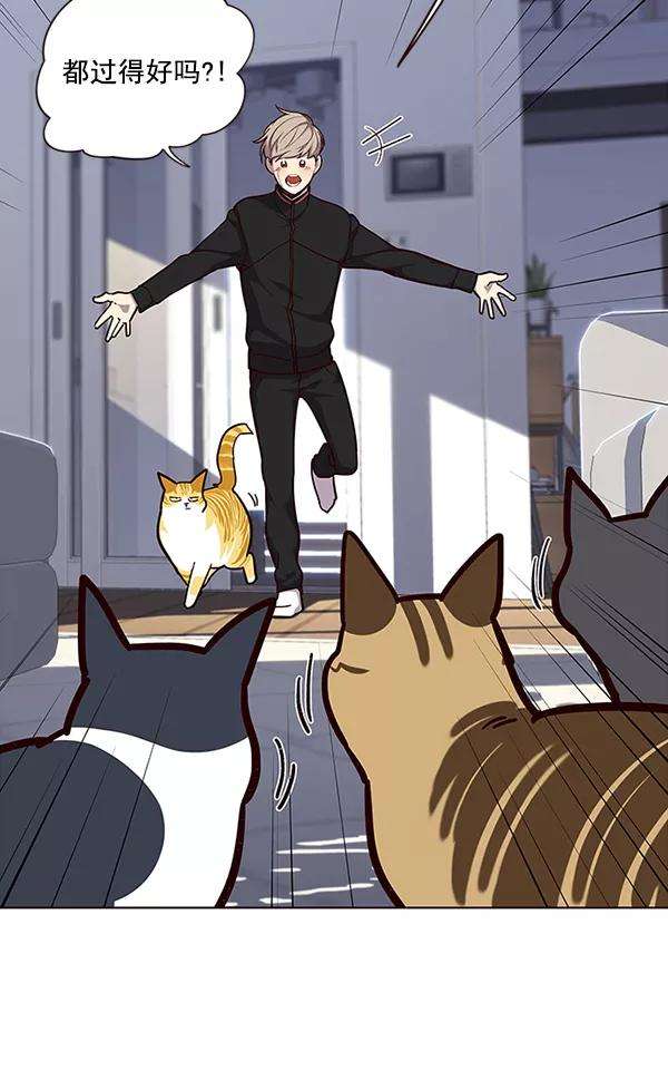 觉醒吧，铲屎官！34话