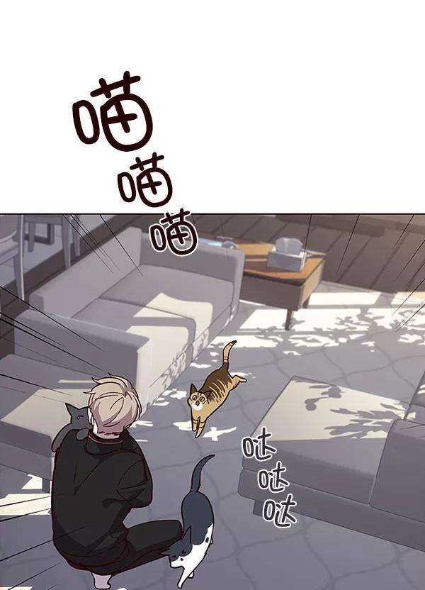 觉醒吧，铲屎官！34话