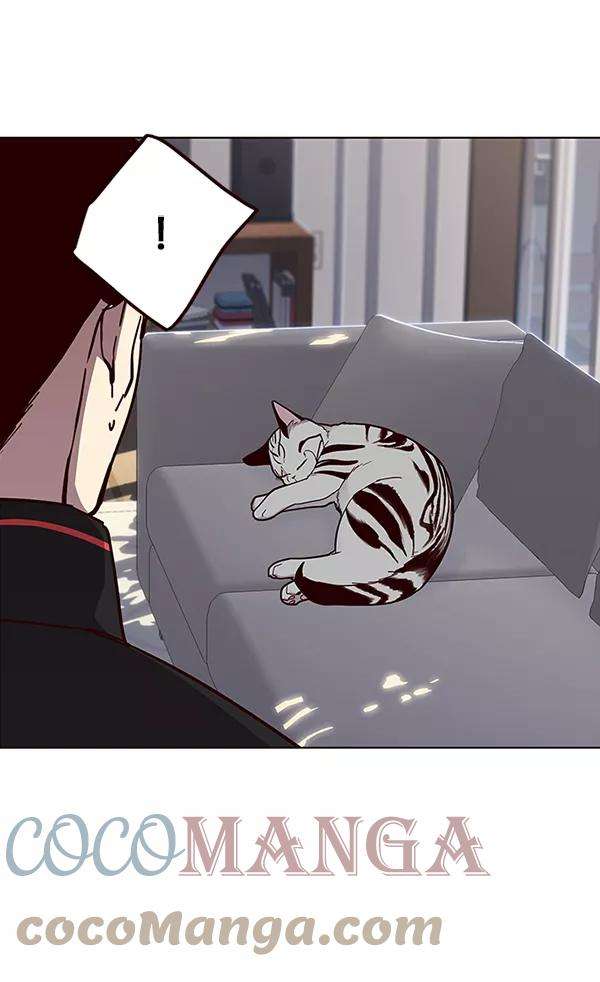 觉醒吧，铲屎官！34话