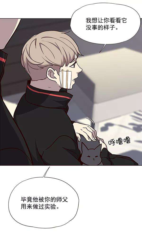 觉醒吧，铲屎官！34话