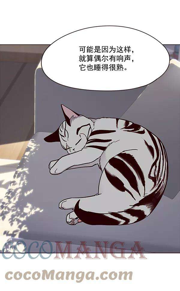 觉醒吧，铲屎官！34话