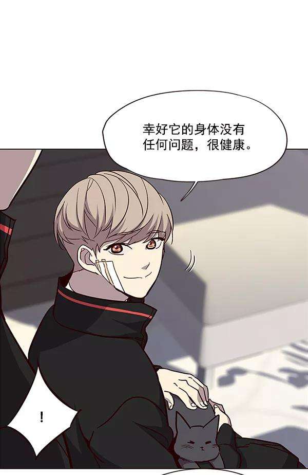 觉醒吧，铲屎官！34话