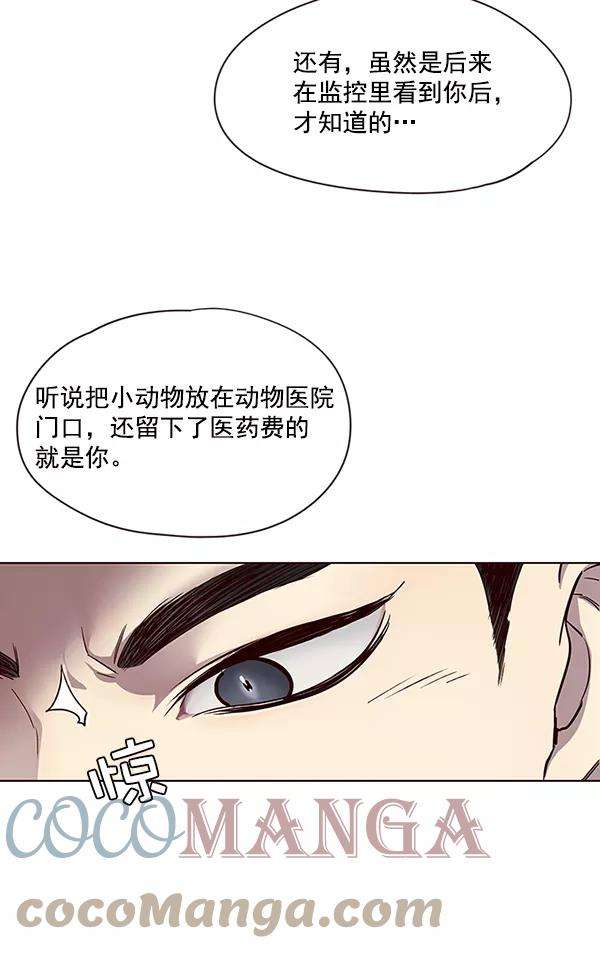 觉醒吧，铲屎官！34话