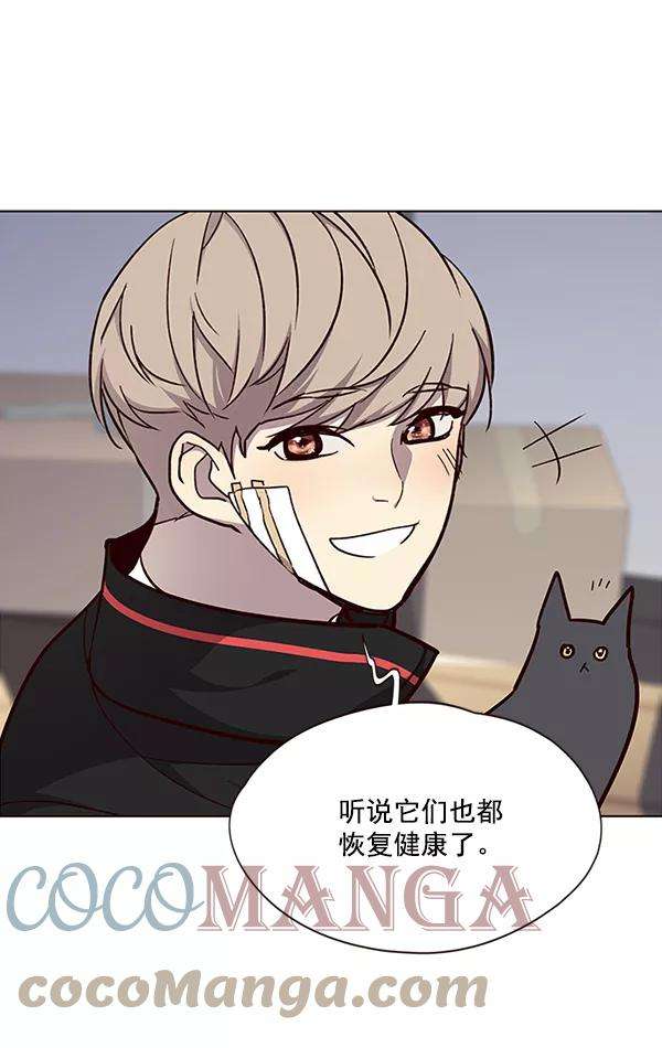 觉醒吧，铲屎官！34话