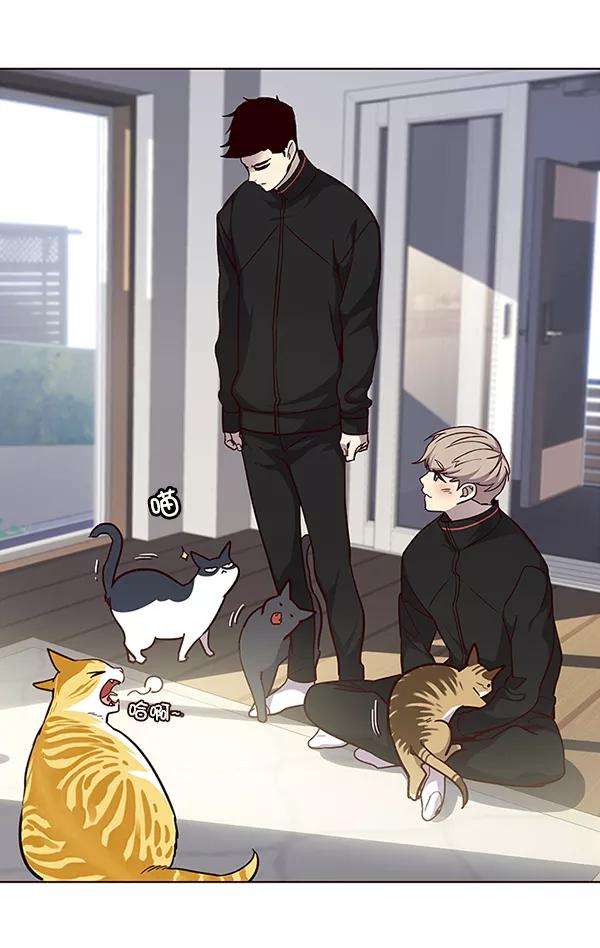 觉醒吧，铲屎官！34话