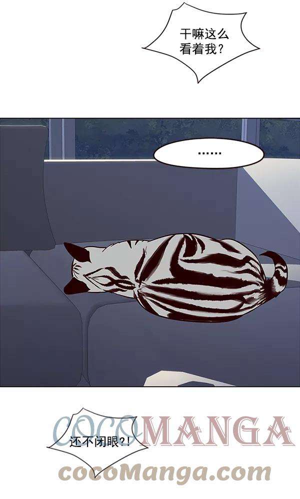 觉醒吧，铲屎官！35话