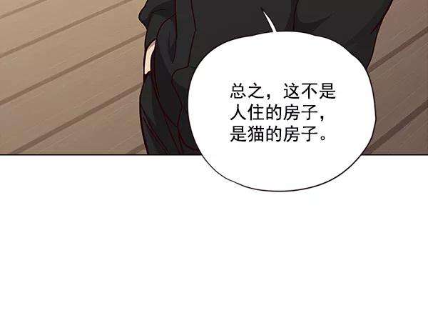 觉醒吧，铲屎官！35话