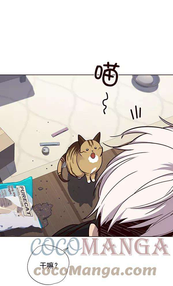 觉醒吧，铲屎官！35话