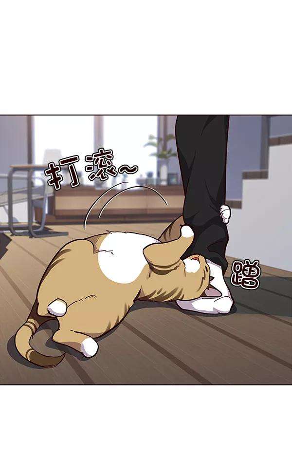 觉醒吧，铲屎官！35话