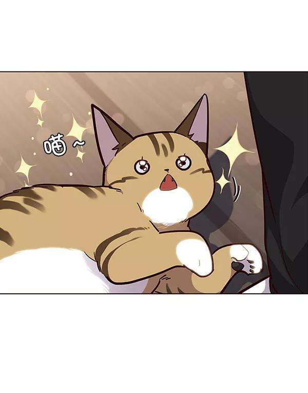 觉醒吧，铲屎官！35话