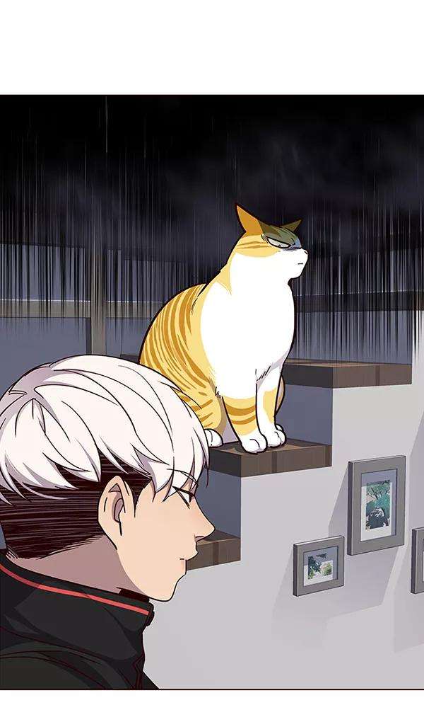 觉醒吧，铲屎官！35话