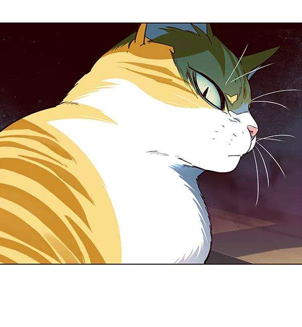 觉醒吧，铲屎官！35话