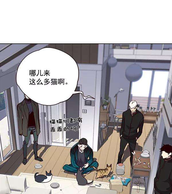 觉醒吧，铲屎官！35话