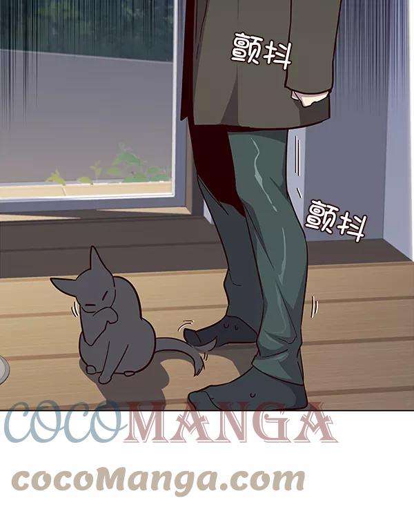 觉醒吧，铲屎官！35话