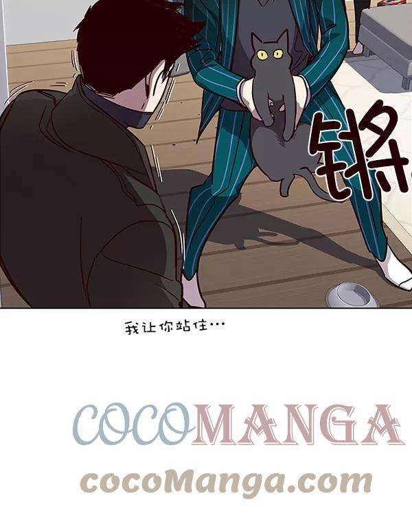 觉醒吧，铲屎官！35话