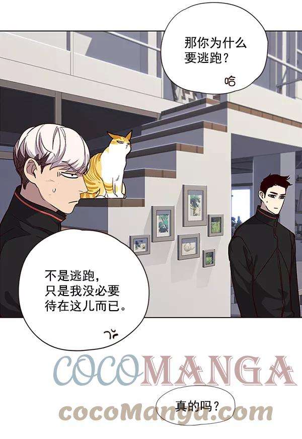 觉醒吧，铲屎官！35话