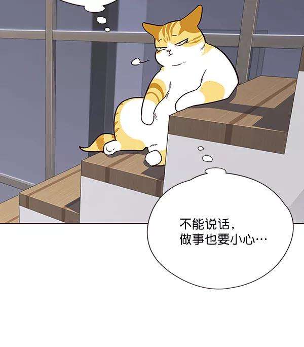 觉醒吧，铲屎官！35话