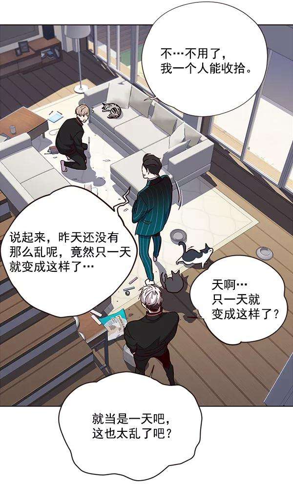 觉醒吧，铲屎官！35话