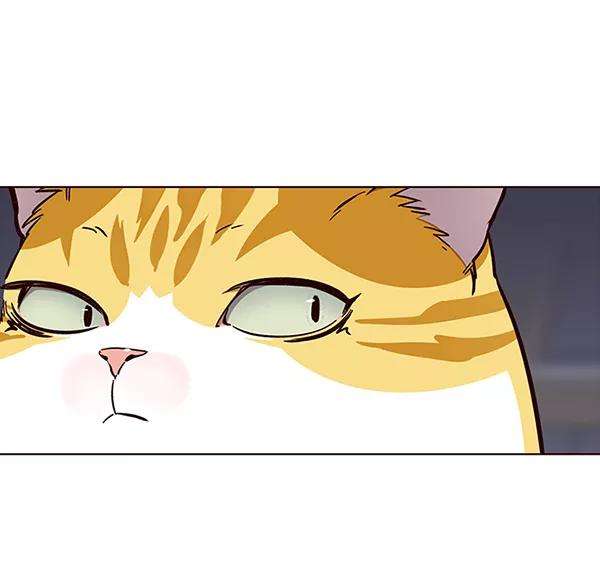 觉醒吧，铲屎官！35话