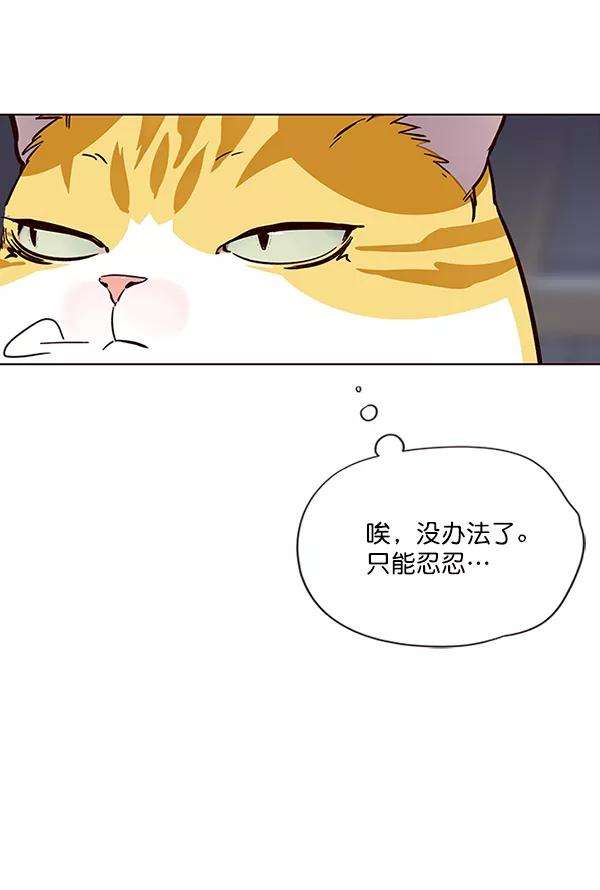 觉醒吧，铲屎官！35话