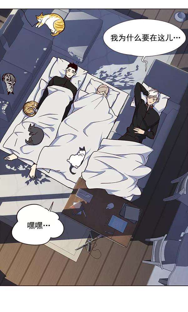 觉醒吧，铲屎官！35话