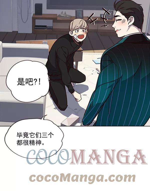 觉醒吧，铲屎官！35话