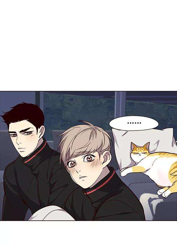 觉醒吧，铲屎官！35话