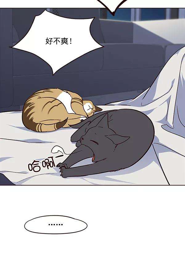 觉醒吧，铲屎官！35话